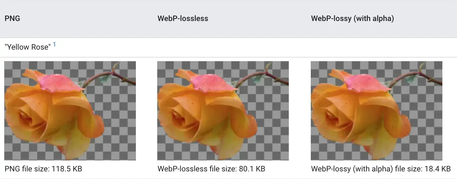 Image illustrative : Pourquoi la compression des images est essentielle pour éviter un site web lent