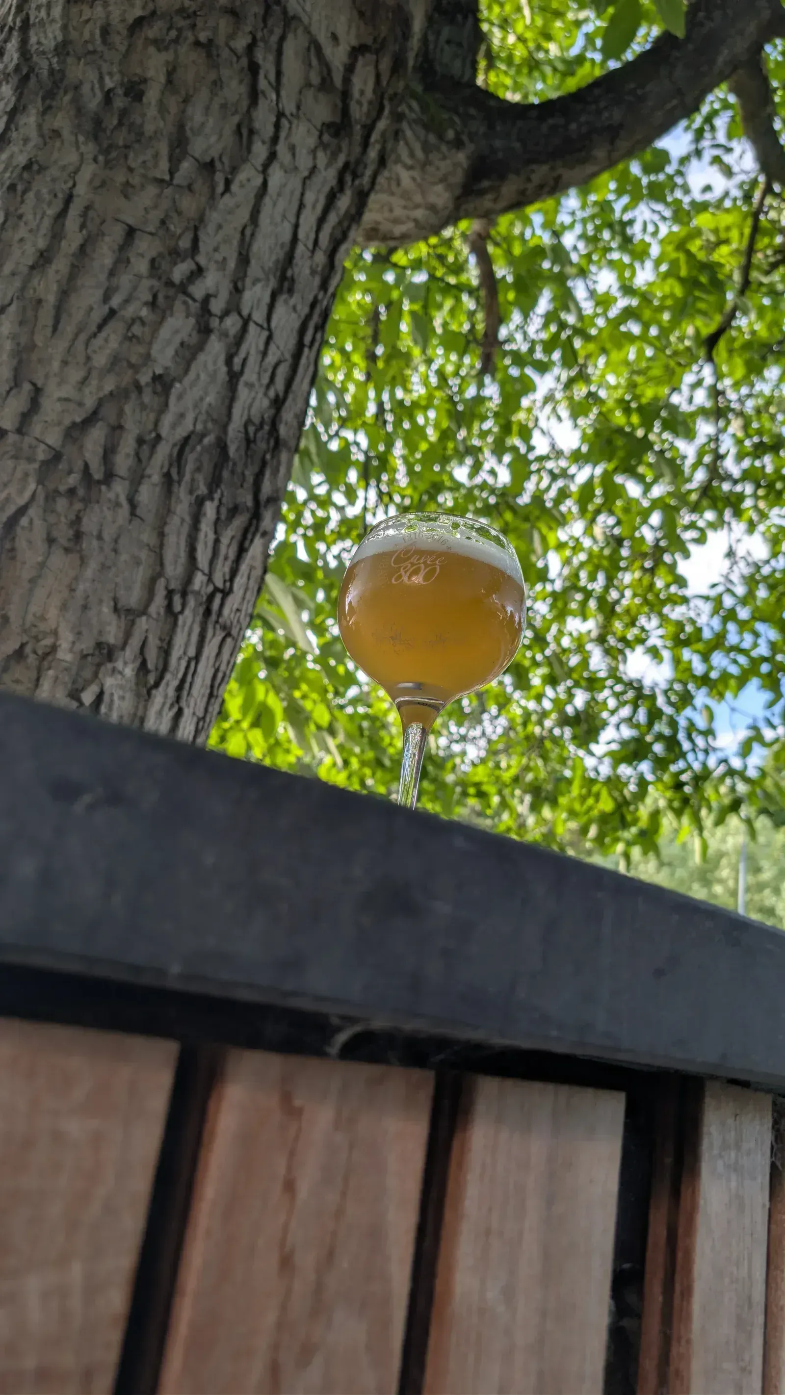 Verre de bière du Val-Dieu en terrasse