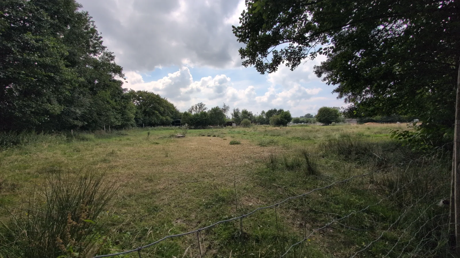 Image illustrative : La Ferme de la Planche à Gouvy : une balade en famille pour se reconnecter à la nature, pieds nus