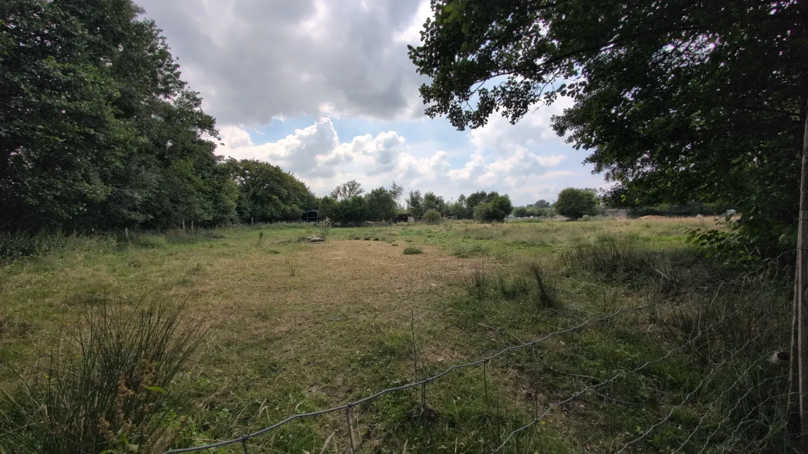 La Ferme de la Planche à Gouvy : une balade en famille pour se reconnecter à la nature, pieds nus