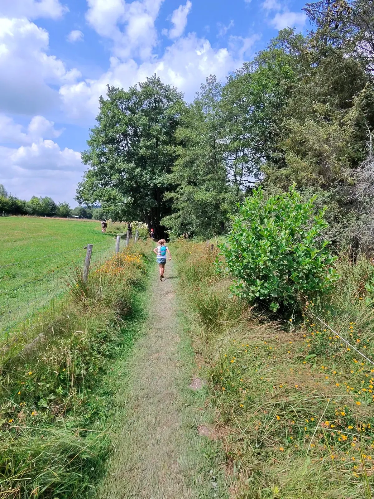 Sentier à travers la prairie de la Ferme de la Planche